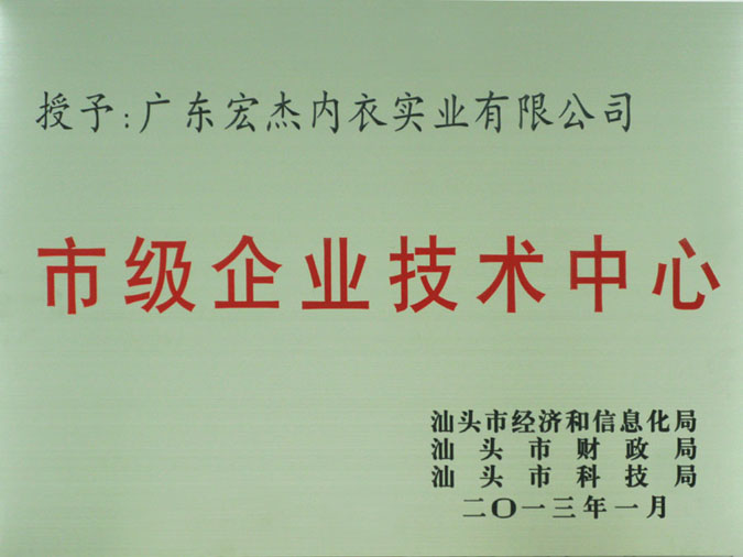 市级企业技术中心