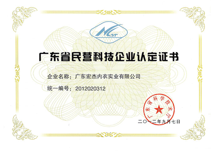 广东省民营科技企业证书